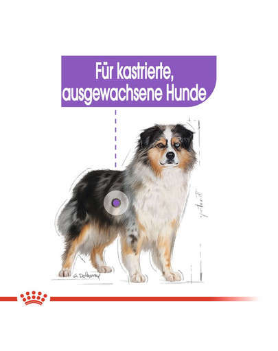 ROYAL CANIN STERILISED MEDIUM Trockenfutter für kastrierte mittelgroße Hunde 3 kg