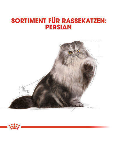 ROYAL CANIN Persian Adult Katzenfutter nass für Perser-Katzen 12 x 85g