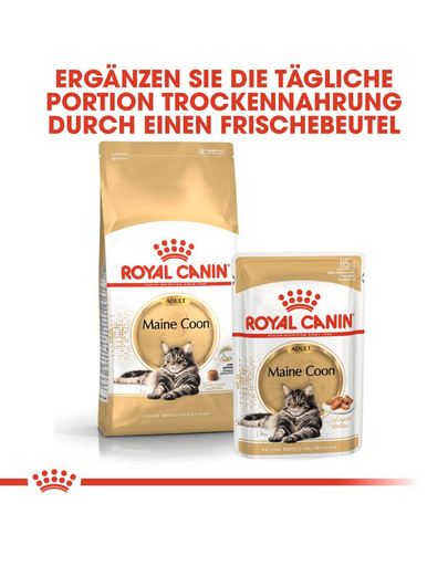 ROYAL CANIN Maine Coon Adult Katzenfutter nass 12 x 85 g