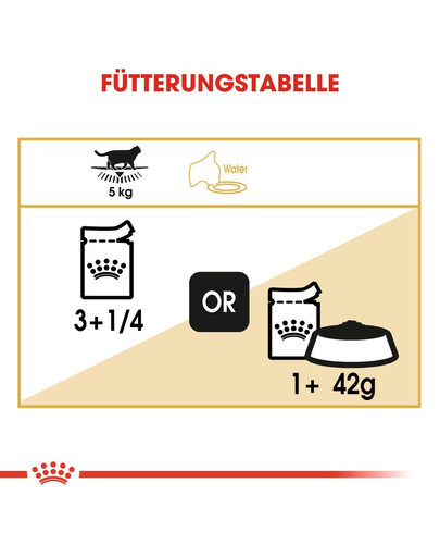 ROYAL CANIN British Shorthair Adult Katzenfutter nass für Britisch Kurzhaar 12x85 g