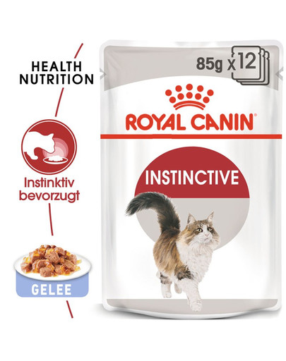 ROYAL CANIN INSTINCTIVE Katzenfutter nass in Gelee 12x85g