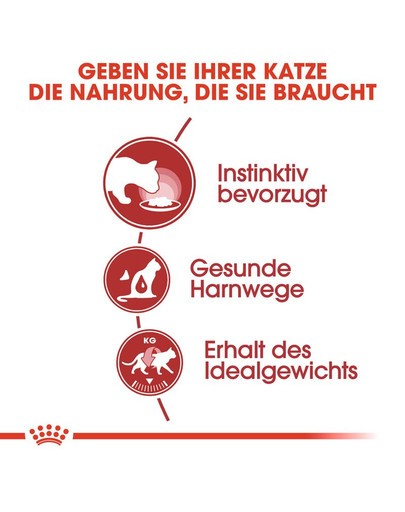 ROYAL CANIN INSTINCTIVE Katzenfutter nass in Gelee 12x85g