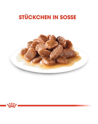 ROYAL CANIN INSTINCTIVE 7+ Nassfutter in Soße für ältere Katzen 12 x 85 g