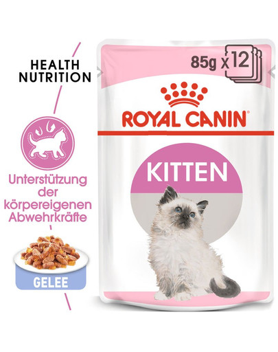 ROYAL CANIN KITTEN Nassfutter in Gelee für Kätzchen 85 g