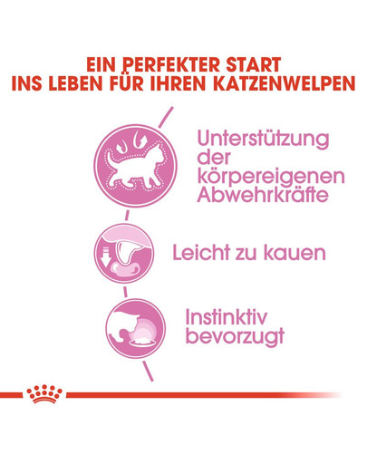 ROYAL CANIN KITTEN Nassfutter in Gelee für Kätzchen 85 g