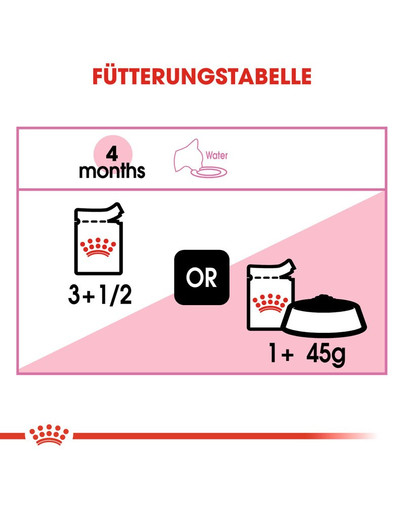 ROYAL CANIN KITTEN Nassfutter in Gelee für Kätzchen 85 g
