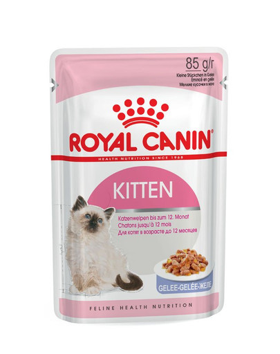 ROYAL CANIN KITTEN Nassfutter in Gelee für Kätzchen 85 g