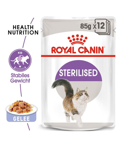 ROYAL CANIN STERILISED Nassfutter in Gelee für kastrierte Katzen 12x85g