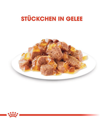 ROYAL CANIN STERILISED Nassfutter in Gelee für kastrierte Katzen 12x85g