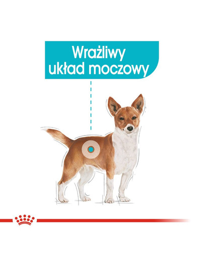 ROYAL CANIN Urinary Care Nassfutter für Hunde mit empfindlichen Harnwegen Mousse 85 g x 12