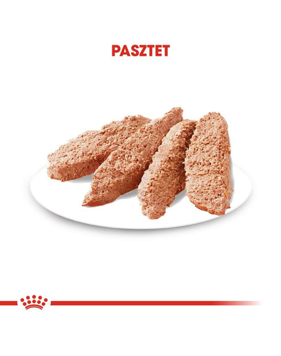 ROYAL CANIN Exigent Alleinfuttermittel für Hunde 85 g x 12
