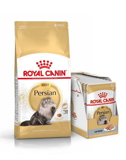 ROYAL CANIN Persian Adult Trockenfutter für Perser-Katzen + nass für Perser-Katzen 12 x 85g
