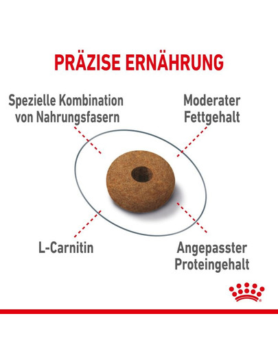 ROYAL CANIN APPETITE CONTROL CARE 10 kg Trockenfutter für erwachsene Katzen