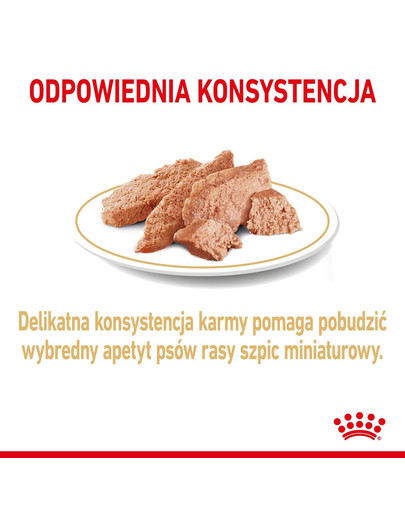 ROYAL CANIN Pomeranian Adult 12x85g