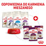ROYAL CANIN Sensory Taste Stücke in Soße 12x85g für ausgewachsene Katzen zur Stimulierung des Geschmackserlebnisses