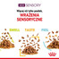 ROYAL CANIN Sensory Feel Katzen-Nassfutter 12x85 g