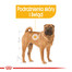 ROYAL CANIN Medium Dermacomfort 12 kg Trockenfutter für ausgewachsene Hunde, mittelgroße Rassen mit empfindlicher Haut