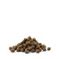 VERSELE-LAGA Adult Skin Care Medium & Maxi  12,5 kg