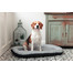 FERA Sky Pontoon Hundebett hellgrau S 74 x 46 cm