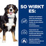 HILL'S Prescription Diet Canine Metabolic + Mobility 4 kg