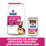 HILL'S Prescription Diet Canine GI Biome 10 kg Futter für Hunde mit Verdauungsproblemen