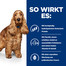 HILL'S Dog Prescription Diet Z/D ActivBiome 3 kg