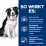 HILL'S Prescription Diet Canine t/d 4 kg Futter zur Förderung der Zahngesundheit Ihres Hundes