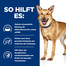 HILL'S Prescription Diet Canine i/d 360g Futter für Hunde mit Verdauungsproblemen