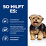 HILL'S Prescription Diet Canine l/d 370g Futter für Hunde mit Lebererkrankungen