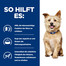 HILL'S Prescription Diet k/d Canine 12 kg