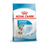 ROYAL CANIN Mini Starter Mother& Babydog 4 kg für trächtige und säugende Hündinnen und Welpen, von 4 bis 8 Wochen, kleine Rassen