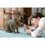 INABA Churu Cat Püree Huhn & Garnelen 4 x 14g