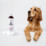 PETS Shampoo Camomile Shampoo für empfindliche Haut 250 ml