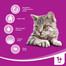 WHISKAS Adult Huhn 7 kg