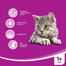 Puszka kurczak w sosie 400 g