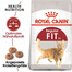 ROYAL CANIN REGULAR FIT 32 Trockenfutter für adulte Katzen, zur Unterstützung eines idealen Zustands 2x2 kg