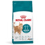 ROYAL CANIN Ageing Sterilised 11+ für reife Katzen nach Sterilisation oder Kastration 4x2 kg