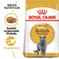 ROYAL CANIN British shorthair 34 Trockenfutter für adulte Britisch Kurzhaar-Katzen ab 12 Monaten, 4x2 kg