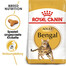 ROYAL CANIN Bengal Adult 2x2 kg