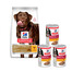 HILL'S Science Plan Canine Adult Healthy Mobility Große Rassen Huhn 14 kg Hundefutter für große Rassen Gelenkunterstützung + 3 Dosen GRATIS