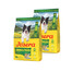 JOSERA Salmon and Potato Adult getreidefreies Futter für Hunde mit empfindlichem Magen 2x3 kg
