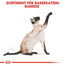 ROYAL CANIN Siamese Adult Katzenfutter trocken 2 kg