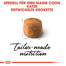 ROYAL CANIN Maine Coon Adult Katzenfutter trocken 2 kg