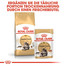 ROYAL CANIN Maine Coon Adult Katzenfutter trocken 400 g