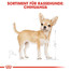 ROYAL CANIN Chihuahua Adult Hundefutter trocken 500 g