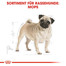ROYAL CANIN Pug Adult Hundefutter trocken für Mops 1,5 kg