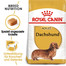 ROYAL CANIN Dachshund Adult Hundefutter trocken für Dackel 1,5 kg
