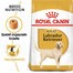 ROYAL CANIN Labrador Retriever Adult Hundefutter trocken 12 kg