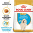 ROYAL CANIN Golden Retriever Puppy Welpenfutter trocken 3 kg