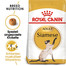 ROYAL CANIN Siamese Adult Katzenfutter trocken 2 kg
